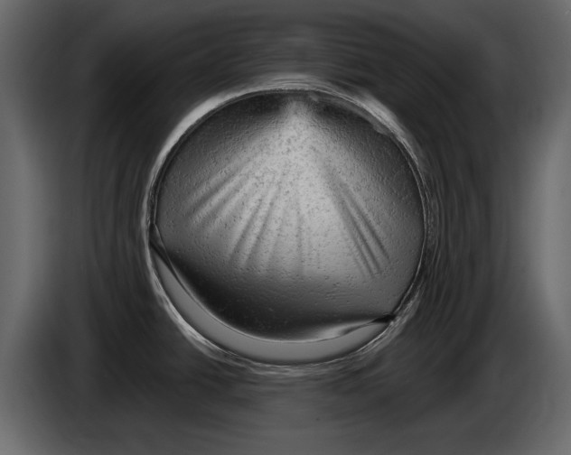 X0000084561438200703231749