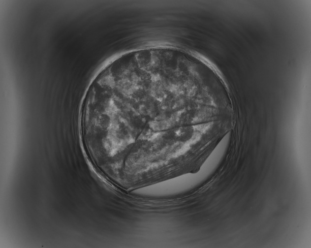 X0000084561439200703231749