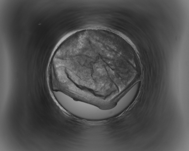 X0000084561440200703231749