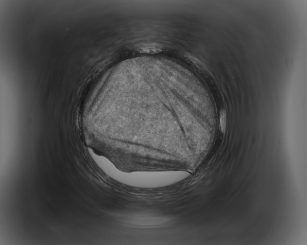 X0000084561444200703231748