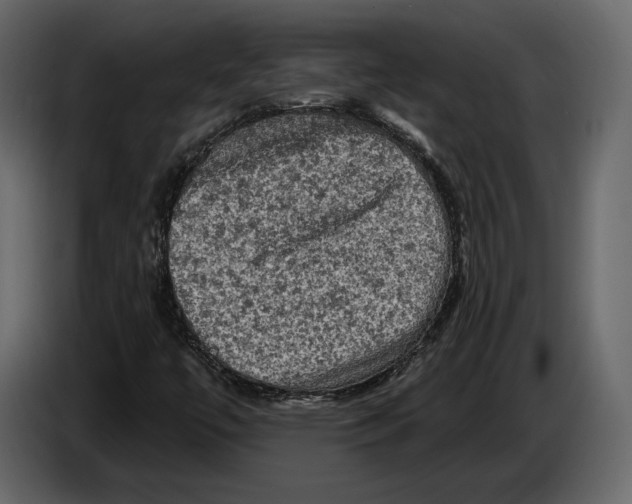 X0000084561447200703231748