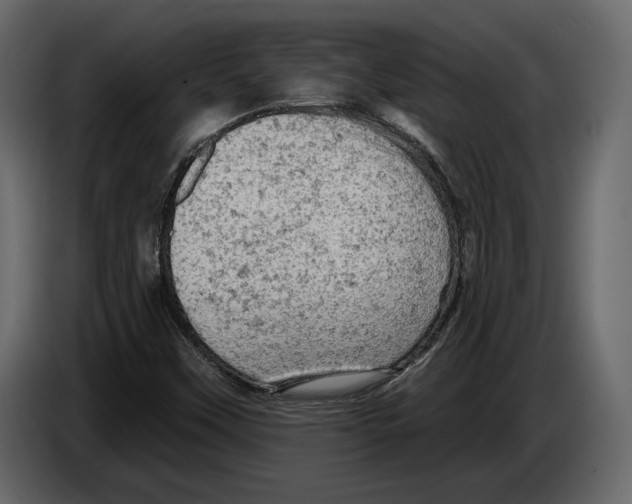 X0000084561451200703231748