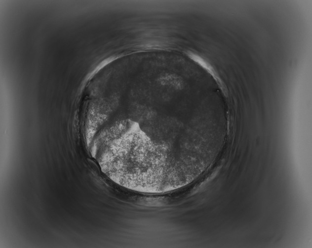 X0000084561453200703231748