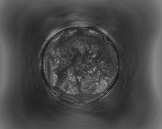 X0000084561459200703231748