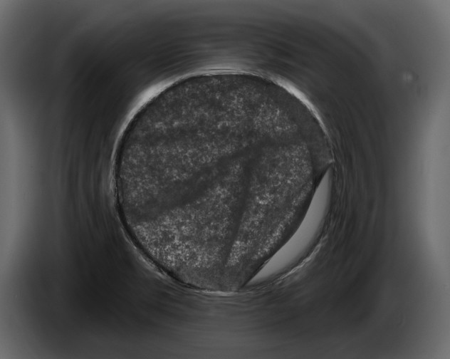 X0000084561469200703231748