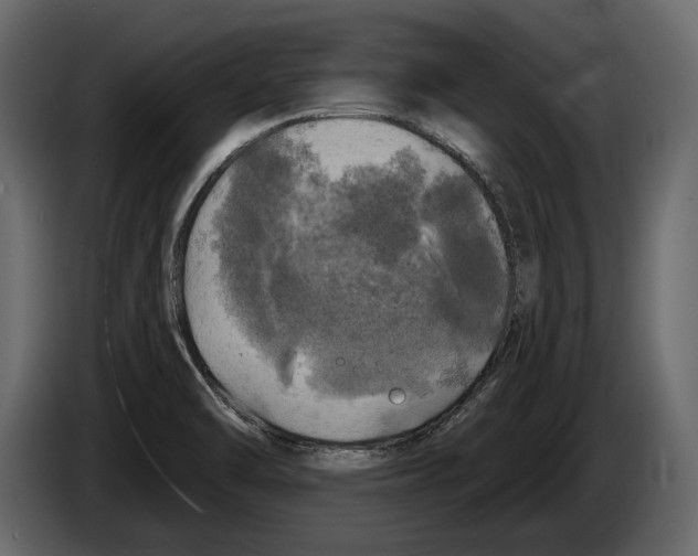 X0000084561470200703231748