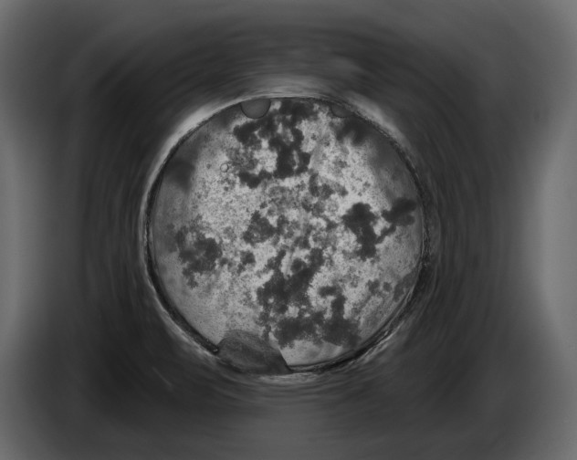 X0000084561471200703231748