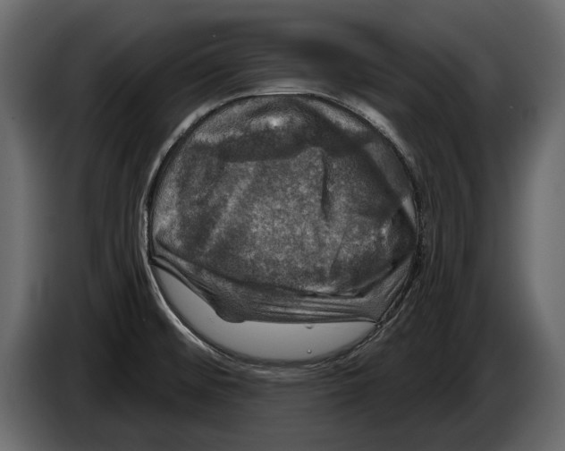 X0000084561476200703231748