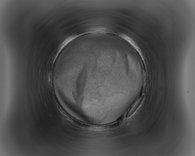 X0000084561481200703231748