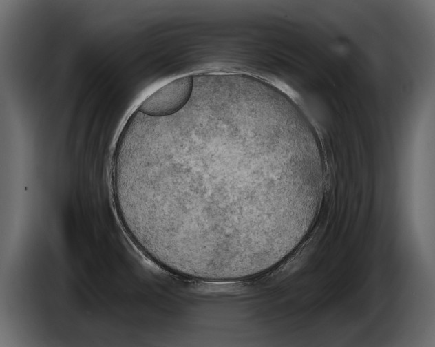 X0000084561486200703231748