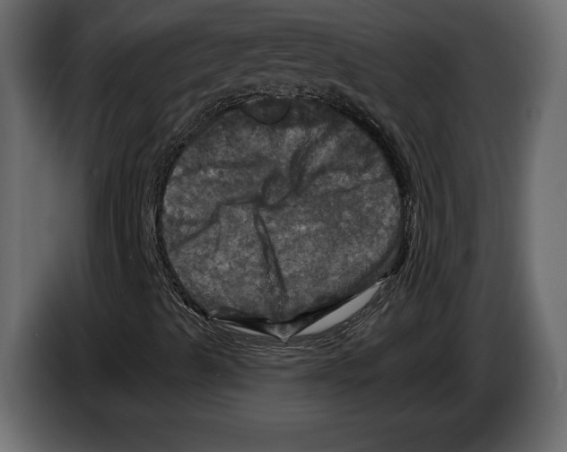 X0000084561489200703231747