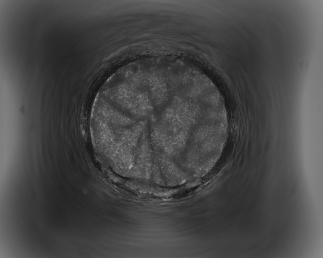 X0000084561490200703231747