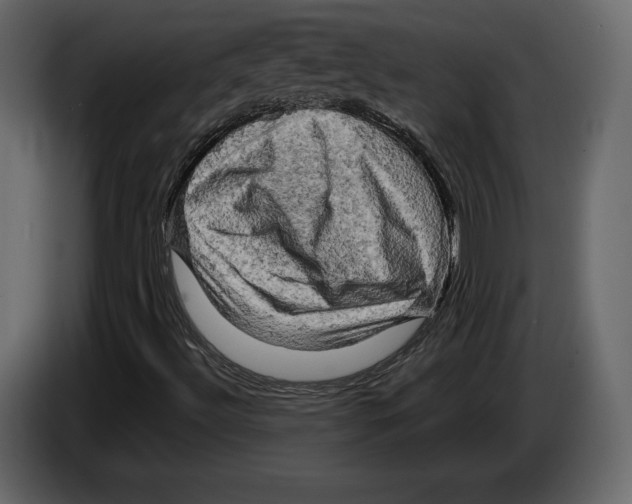 X0000084561492200703231747