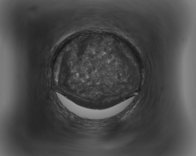 X0000084561494200703231747