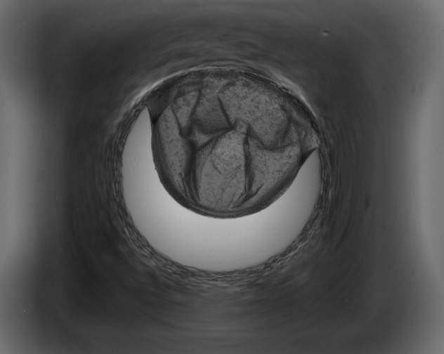 X0000084561496200703231747