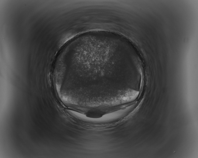 X0000084561497200703231747