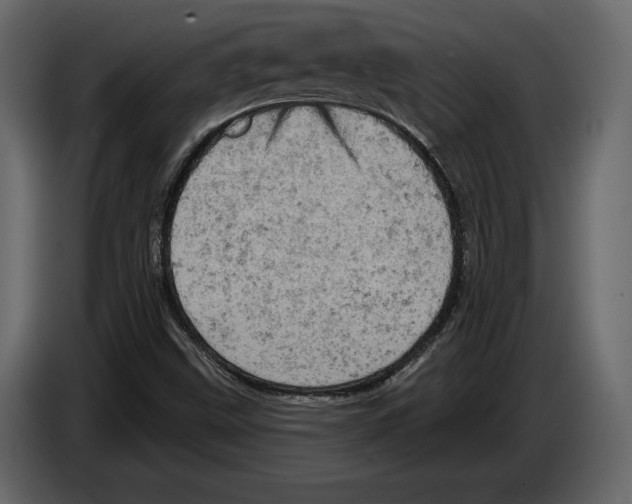 X0000084561499200703231747