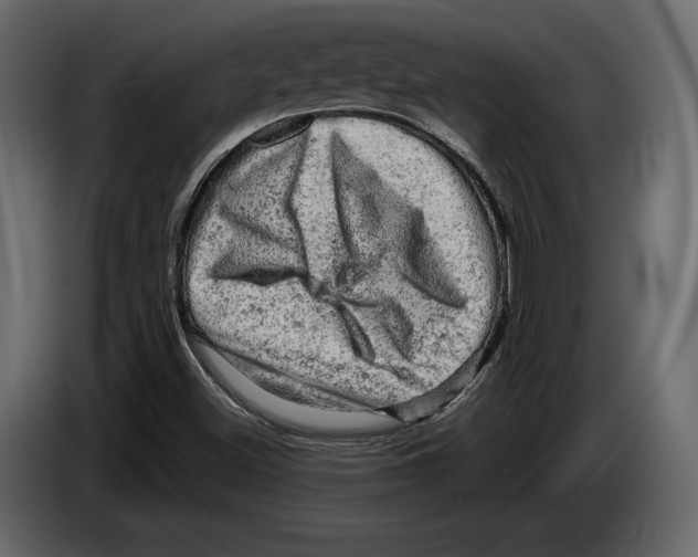 X0000084561500200703231747