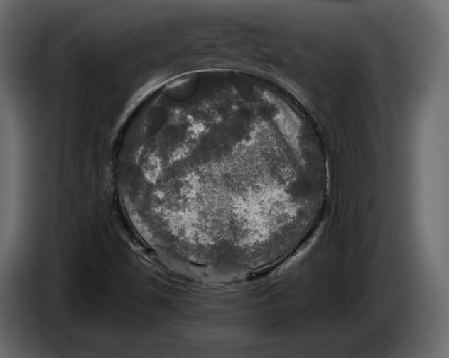 X0000084561501200703231747