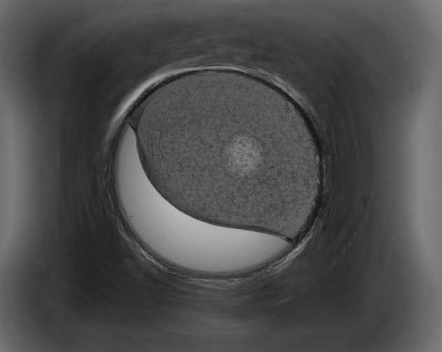 X0000084561502200703231747