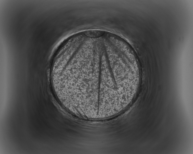 X0000084561503200703231747