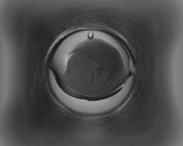 X0000084561506200703231747