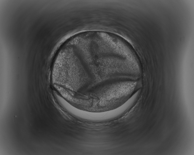 X0000084561507200703231747