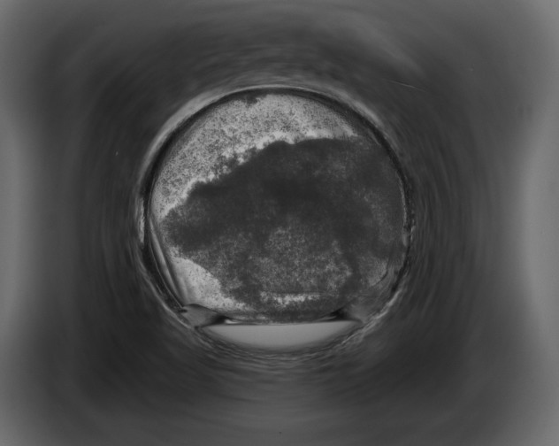 X0000084561509200703231747