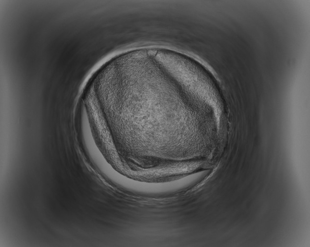 X0000084561510200703231747