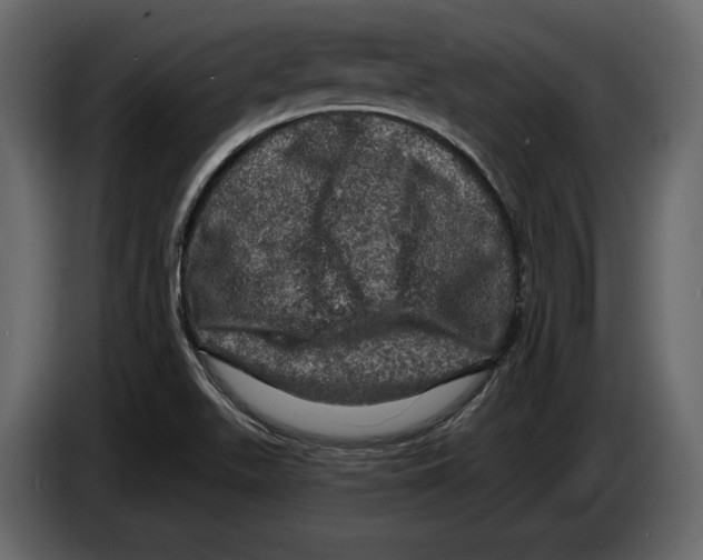 X0000084561511200703231747