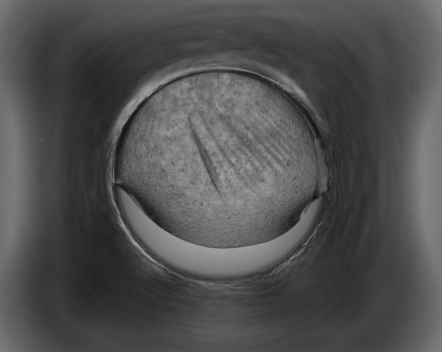 X0000084561512200703231747