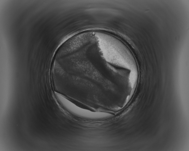 X0000084561513200703231747