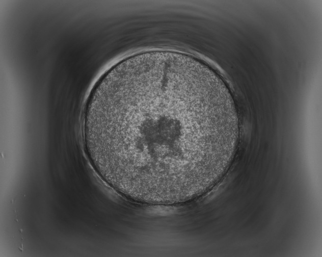 X0000084561514200703231747