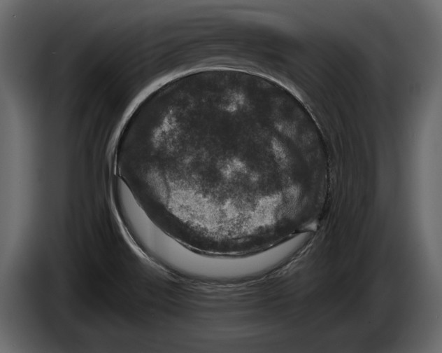 X0000084561515200703231747