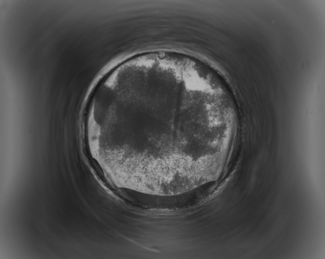 X0000084561517200703231747