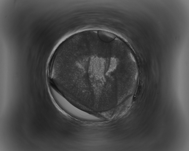 X0000084561519200703231747