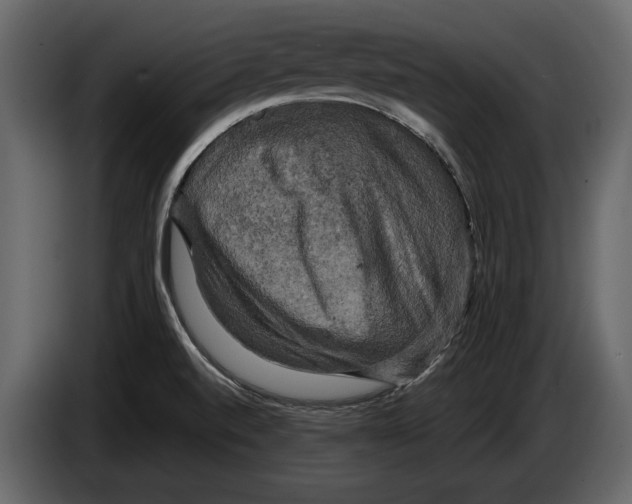 X0000084561520200703231747