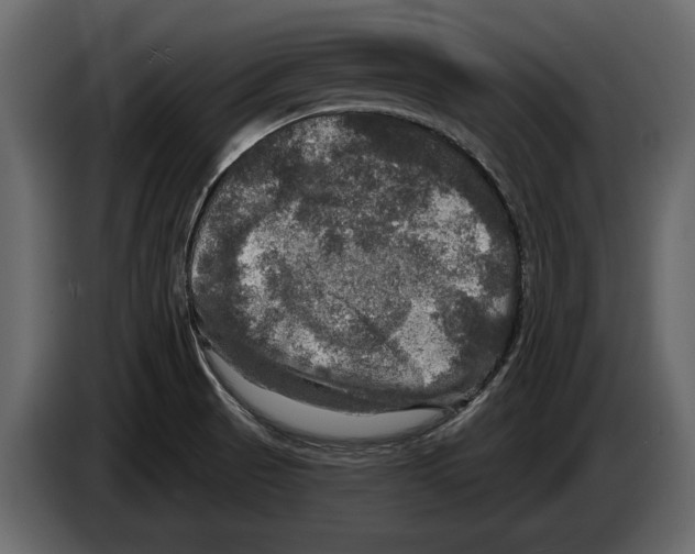 X0000084561521200703231747