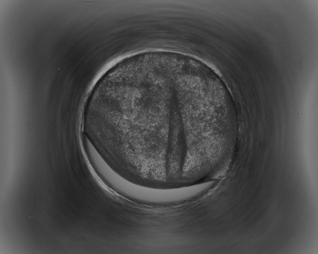 X0000084561523200703231747