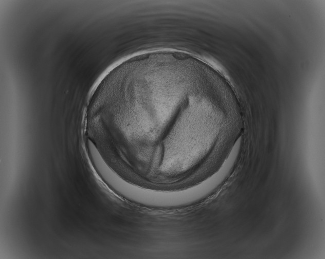 X0000084561524200703231747