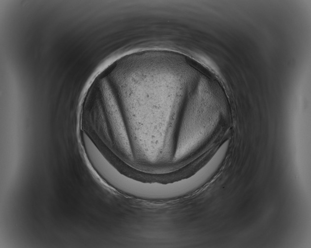 X0000084561528200703231747