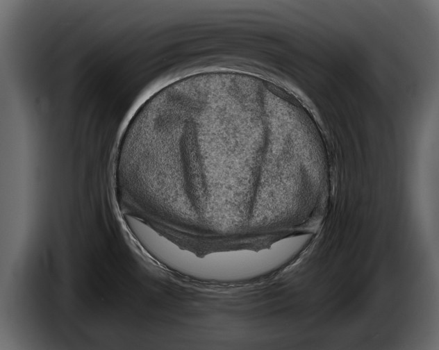 X0000084561530200703231747