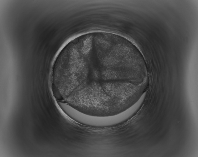 X0000084561531200703231747