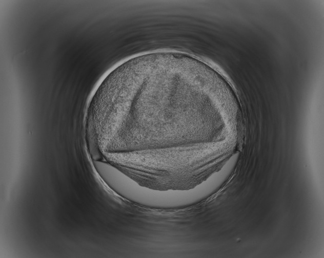 X0000084561532200703231747