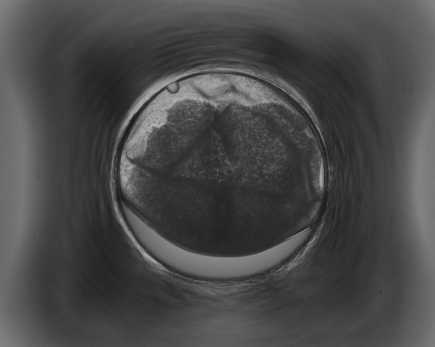 X0000084561533200703231747