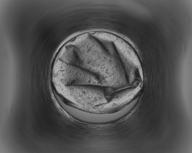 X0000084561534200703231747