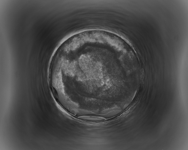 X0000084561535200703231747