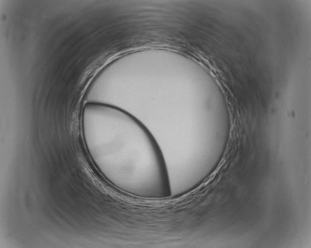 X0000084570002200702230921