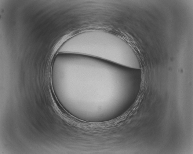 X0000084570003200702230921