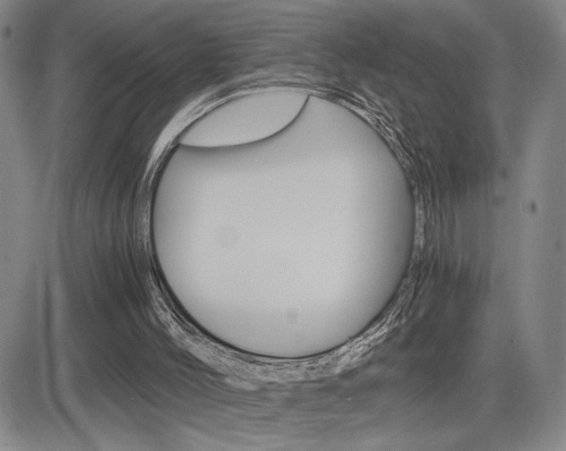 X0000084570004200702230921